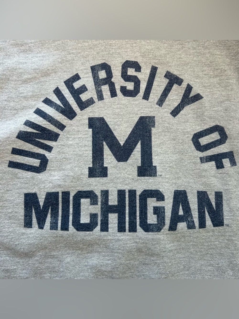 Original Retro Brand University of Michigan Wolverines Vintage Style Hoodie sz M - Picture 4 of 9